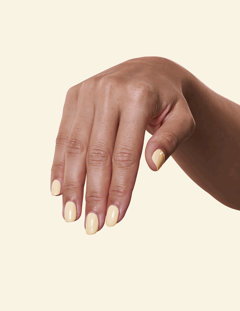 Chamomile - Le Mini Macaron (7525662982386)