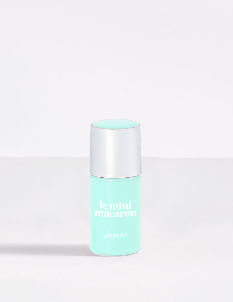 Mint Chocolate Chip (Cream) - Le Mini Macaron (4484783931437)