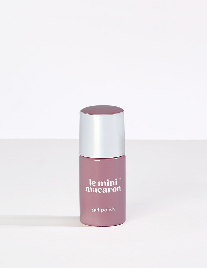 Rum Raisin - Le Mini Macaron (4484743888941)