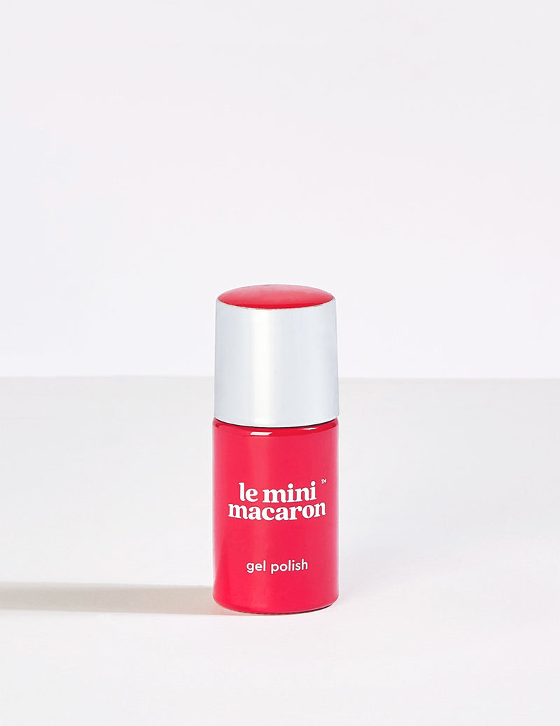 Watermelon Sorbet - Le Mini Macaron (4484886200365)