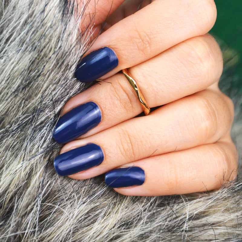 Midnight Blueberry - Le Mini Macaron (4484722753581)