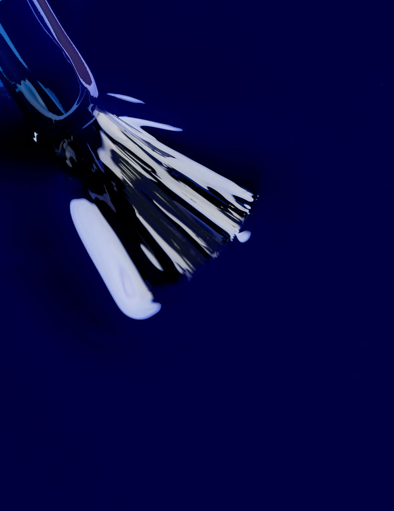 Midnight Blueberry - Le Mini Macaron (4484722753581)