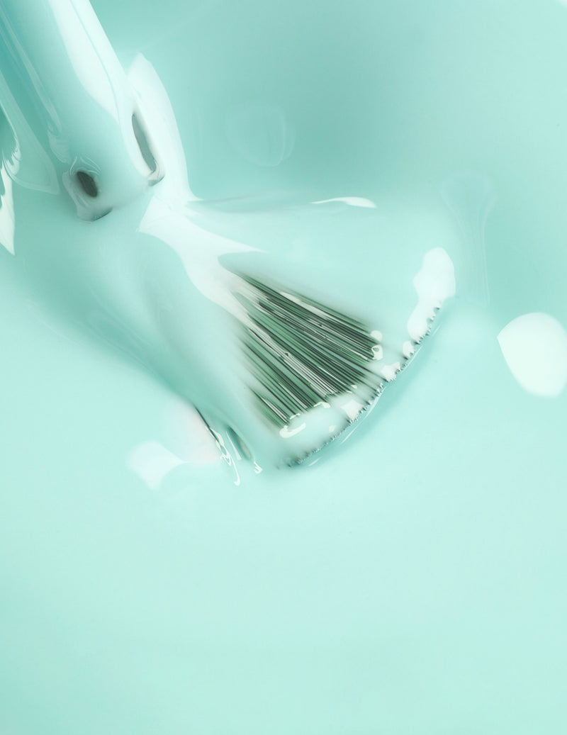 Mint Chocolate Chip (Cream) - Le Mini Macaron (4484783931437)