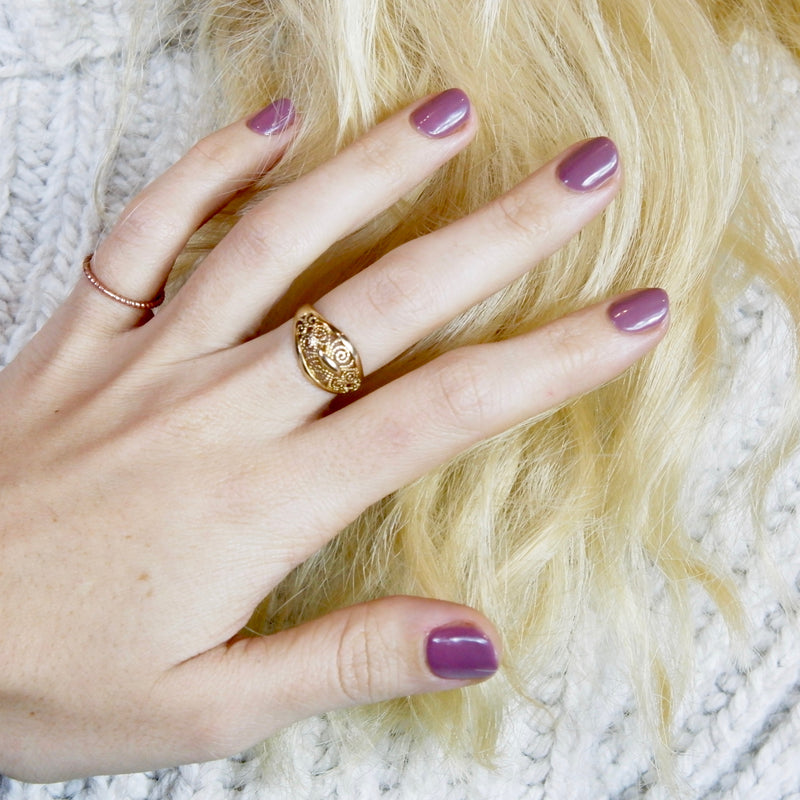 Rum Raisin - Le Mini Macaron (4484743888941)