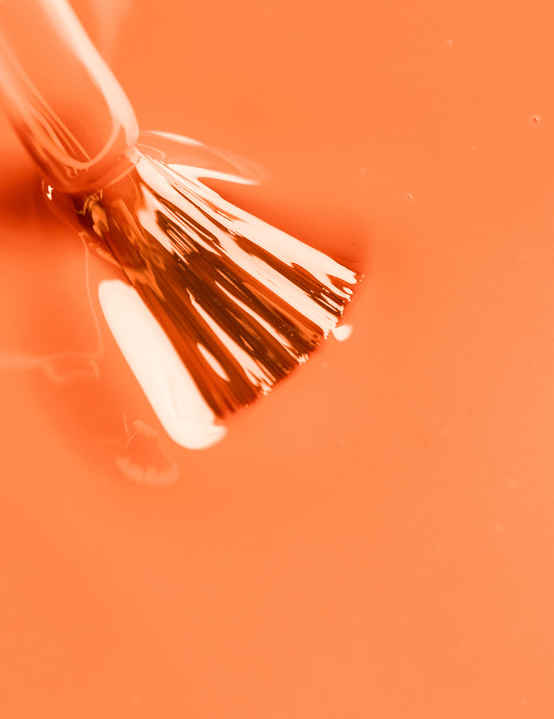 Papaya Sorbet (Cream) - Le Mini Macaron (6687941394600)